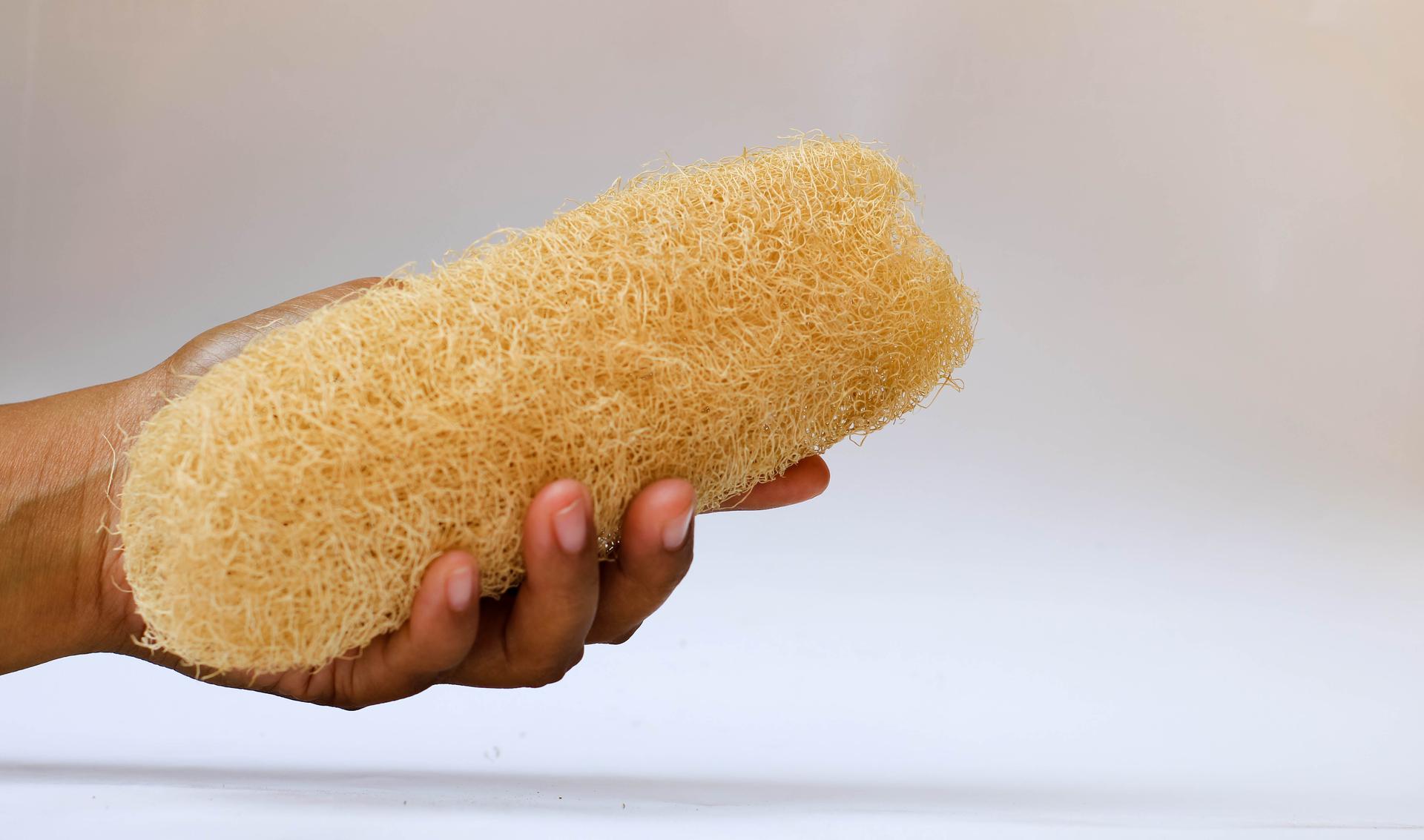 hand holding Eco friendly loofahs sponges,