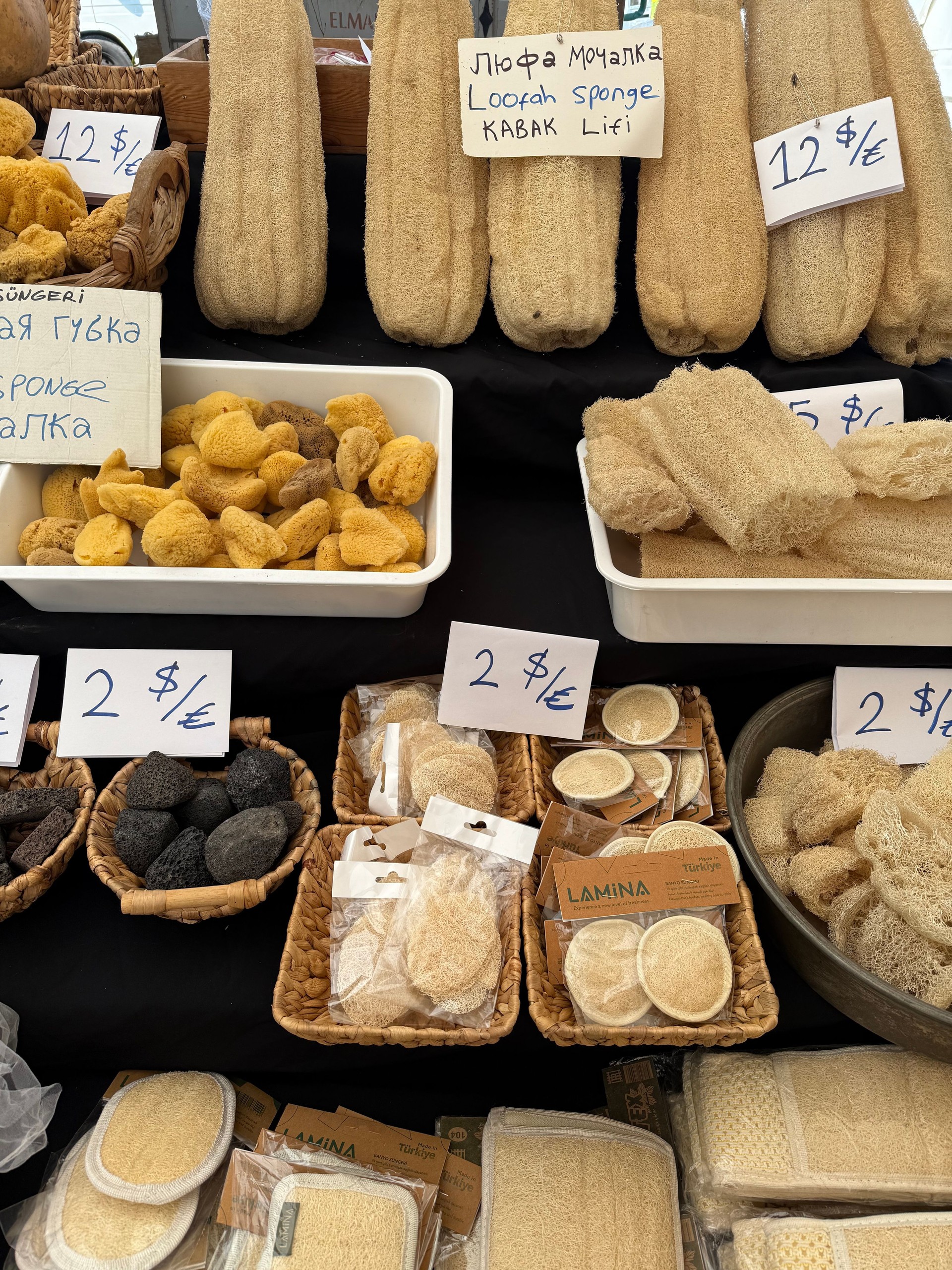 Loofah and sea sponges