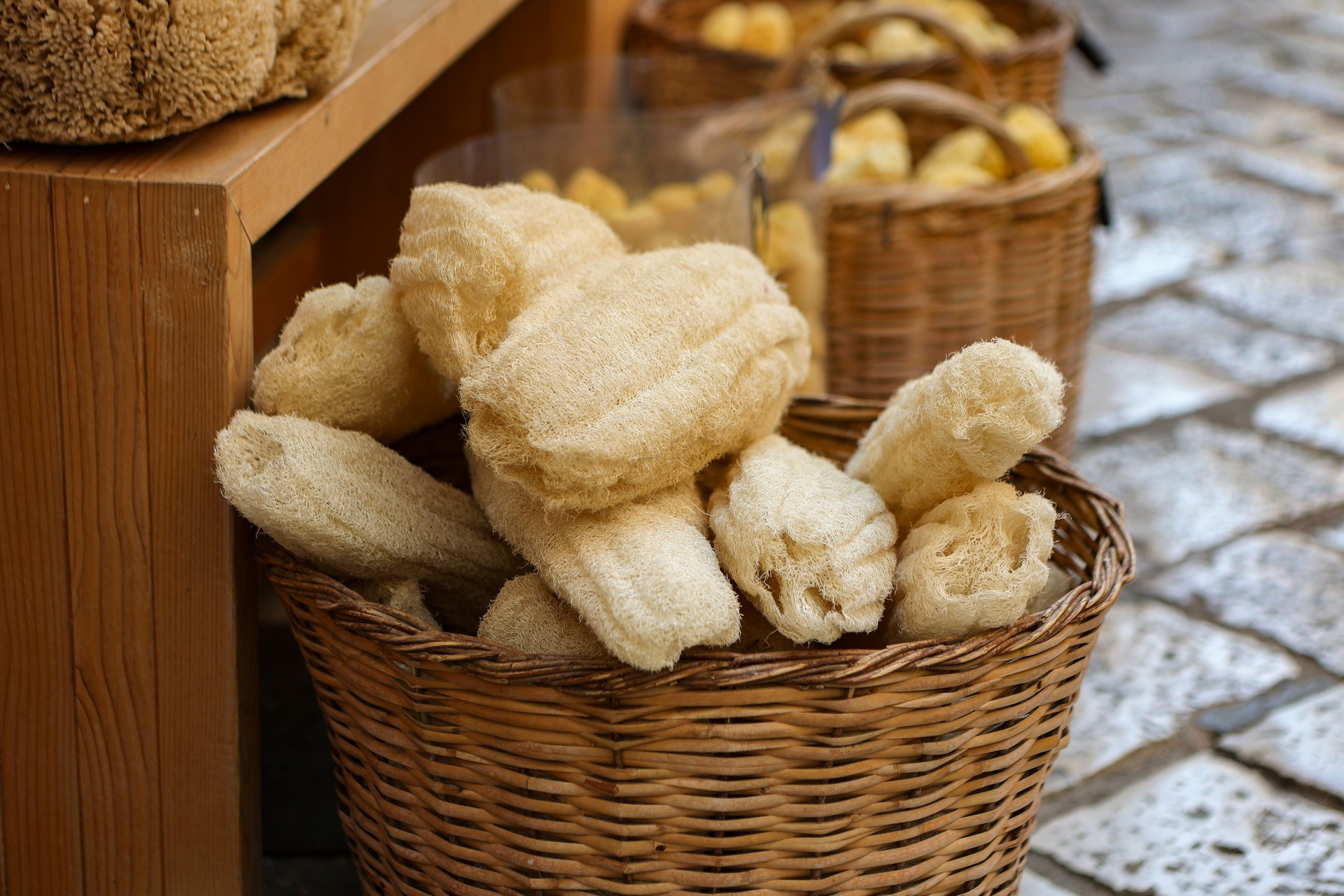 Sea sponges
